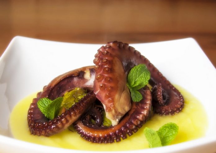 Can Dogs Eat Octopus? Know Whether Octopus is Safe or Not for Canine! - ebknows