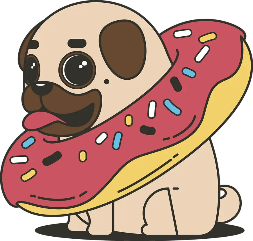 are donuts safe for dogs
